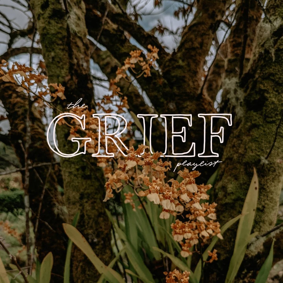 SarahSparkshere's tweet photo. The Grief and Lament playlist is available now! (Link in bio)

This playlist was built around my new single "The Control Line," with the theme "when God says no."
Featuring: @bethanydillon
@JoshGarrels @jonforeman @chrisrenzema
Please listen and share! 
https://t.co/PGyIk2AC04 https://t.co/o6JqjdFOyp