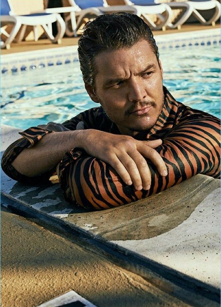 Estréia na Netflix dia 10 de novembro a primeira temporada da série 'Animal', sobre a natureza.

Pedro Pascal será um dos narradores ao lado de nomes como: Bryan Cranston, Rashida Jones e Rebel Wilson.

Mal podemos esperar!