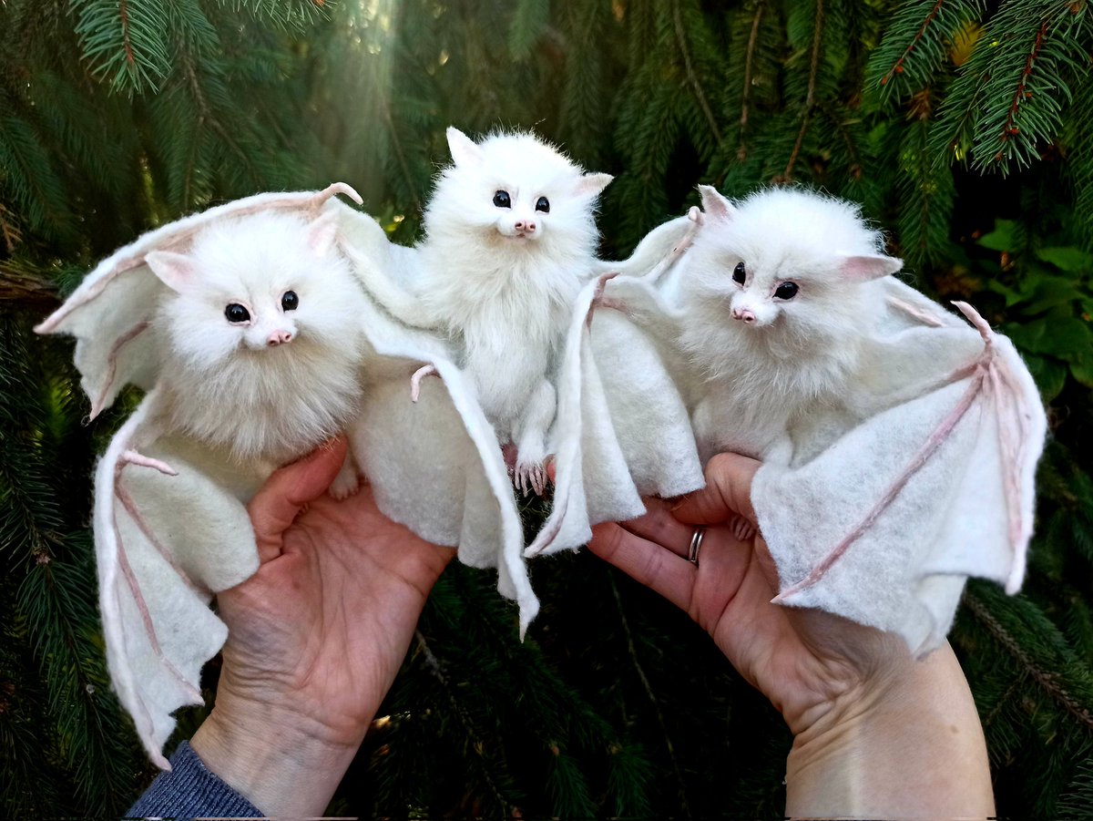 Felted Bats! 😄