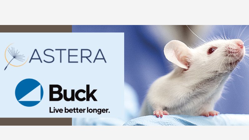 David Sinclair tweet media