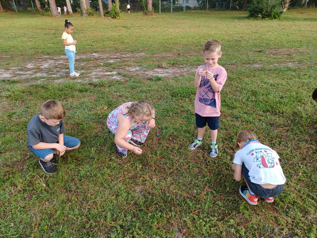 Jmdolich's tweet image. What can be found on Earth&apos;s surface? Let&apos;s explore!
#vcsscience