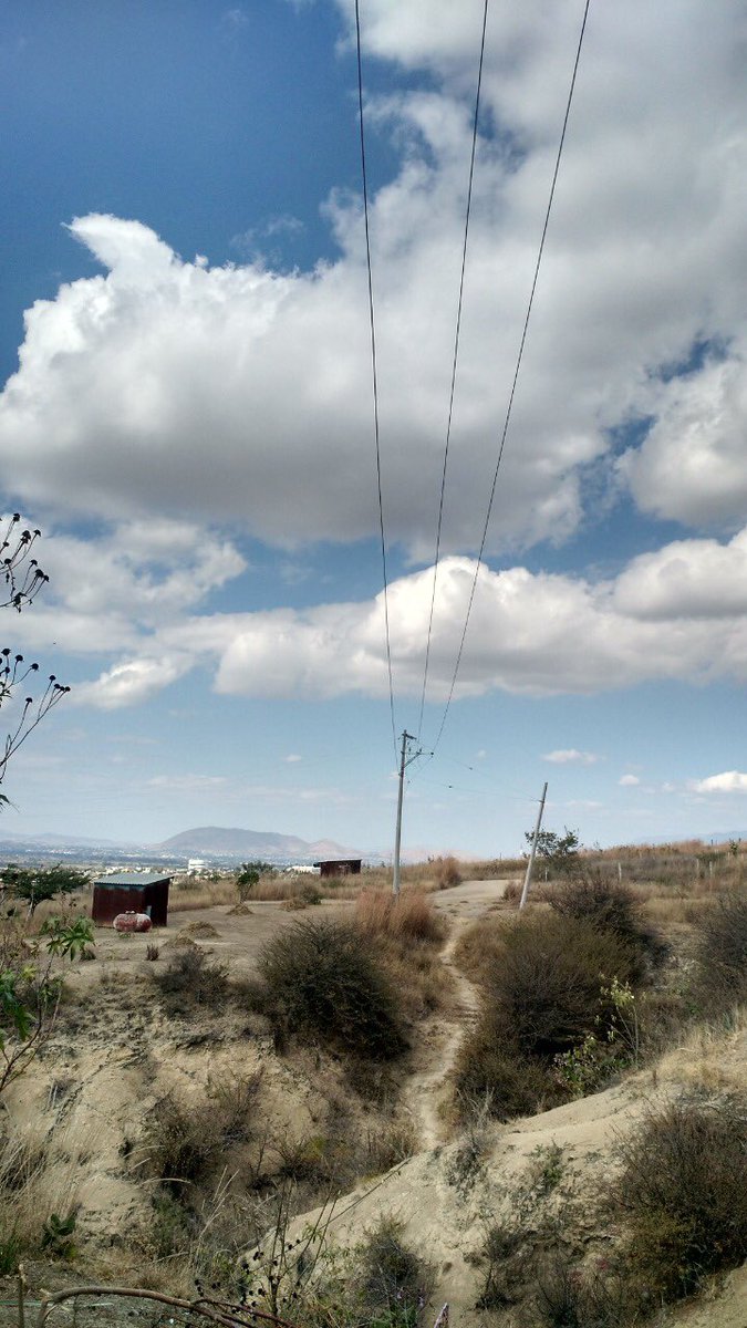castulobreton's tweet photo. Trabajamos por el bienestar y desarrollo social de las familias zaachileñas.
Les comparto la obra que realizamos en la Colonia Los Pinos para beneficiarlos con la ampliación de la red de energía eléctrica, donde se instalaron ocho postes y un transformador. https://t.co/5MzNbgdlsi