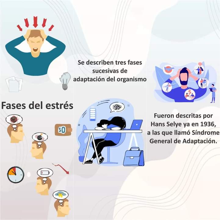 VistazoMi's tweet photo. Fases del estrés
#SaludMental
#estres
#SiTuEstasBienTodoEstaraBien https://t.co/UYQ98QGnI3