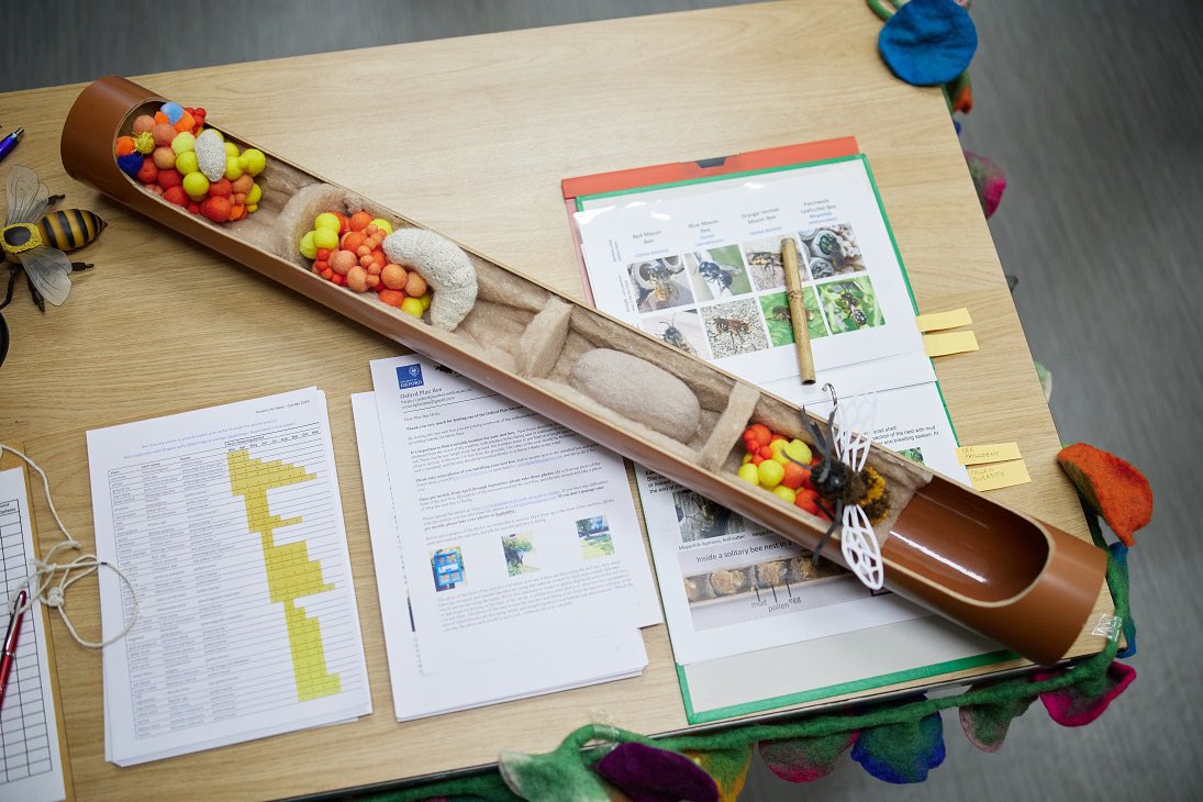 OxfordPlanBee's tweet photo. We had a wonderful event at @morethanadodo last Sunday with more than 50 families joining us to learn about bees, bee boxes and more! Thanks to @ClareFergusonOx and Ian Wallman for the photos https://t.co/S3nXrcV8Ix