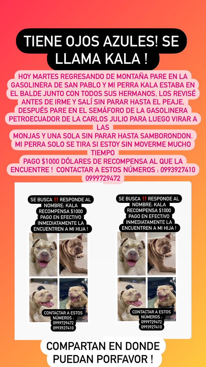 GenioDemente tweet media