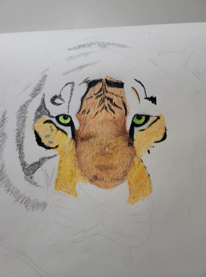 PShmoetry's tweet photo. This weeks Contributions to our “Animal” theme!

1st image: Amanda Fey
IG:amanda__fey 

2nd image: Katherine Owens
IG:kateowens11 

3rd image: Renee McCann McDaniel

4th image: Ashley Raines
IG:ashley.raines2 

 #poetryshmoetry #pencildrawing #pencil #prayingmantis #artists https://t.co/QXBWJpnA07