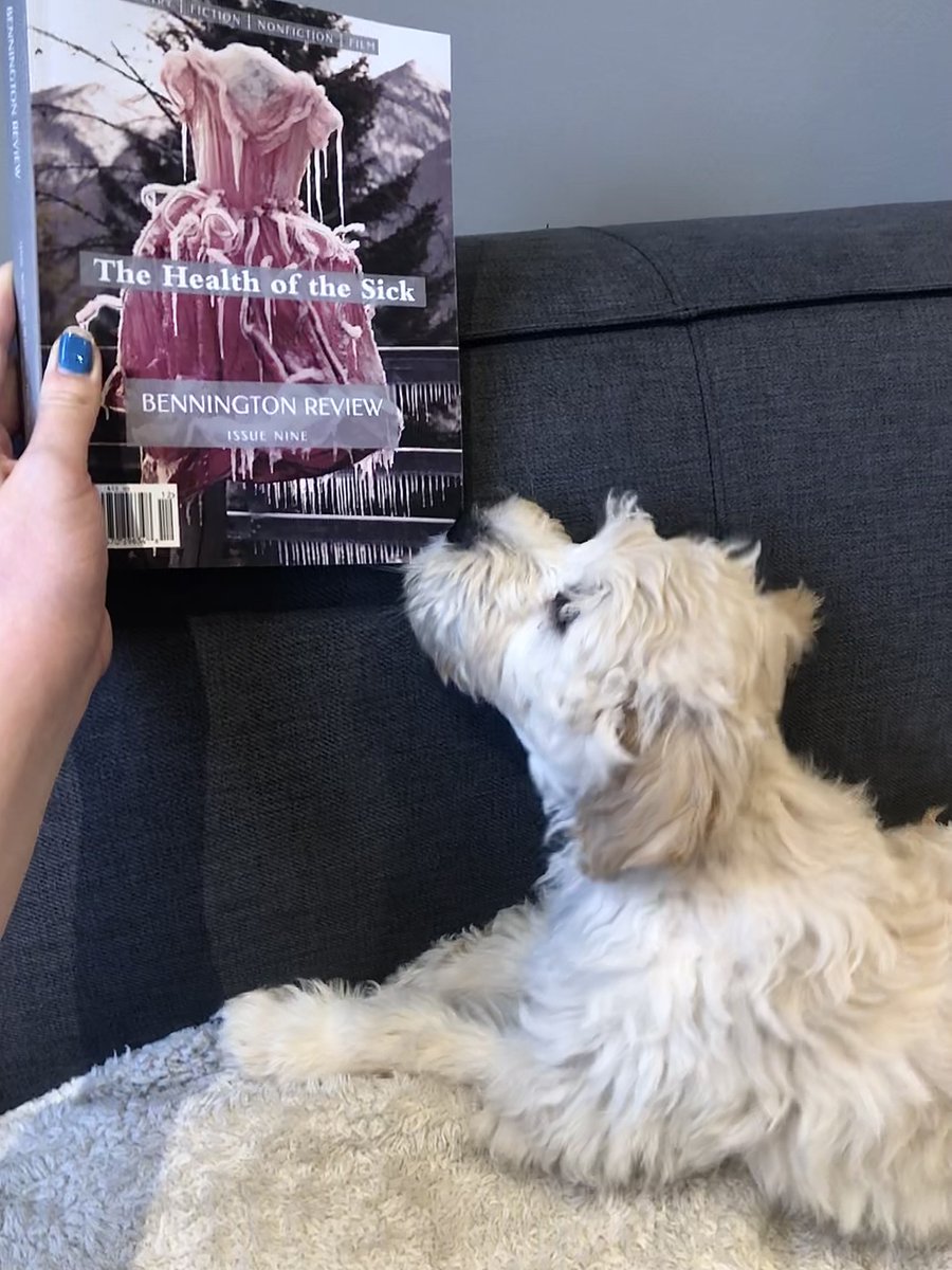 Issue Nine -- loved by all!