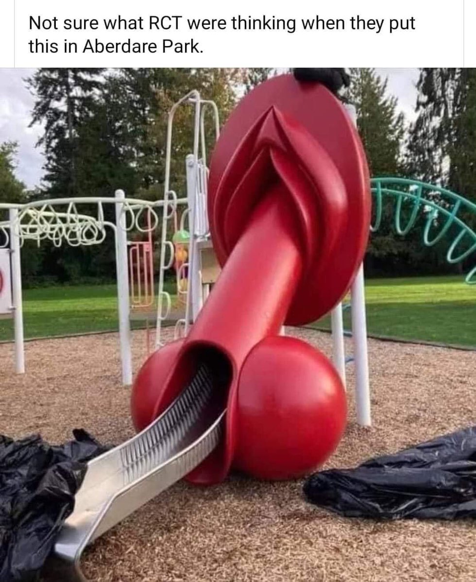 I’m not sure if Carmarthenshire county council would install this slide around our parks?? 🤔🤷🏻‍♂️