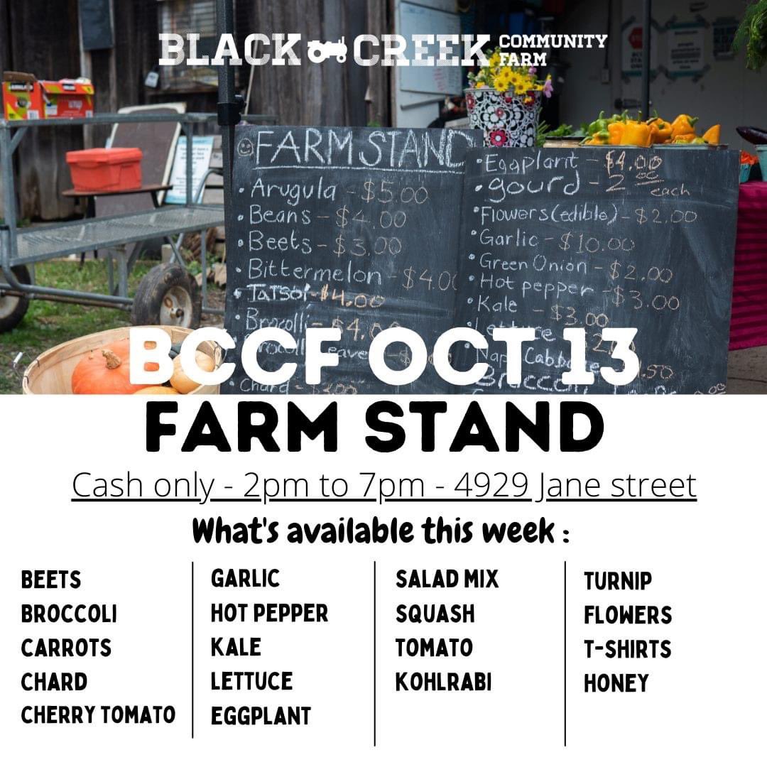 Check out our farmstand open from 2 - 7 pm tomorrow (Thurs Oct 13)! Get your fresh veggies Tomato from our farm! Location : 4929 Jane Street, #Toronto #buylocal #SupportLocal #foodjustice #urbanagriculture