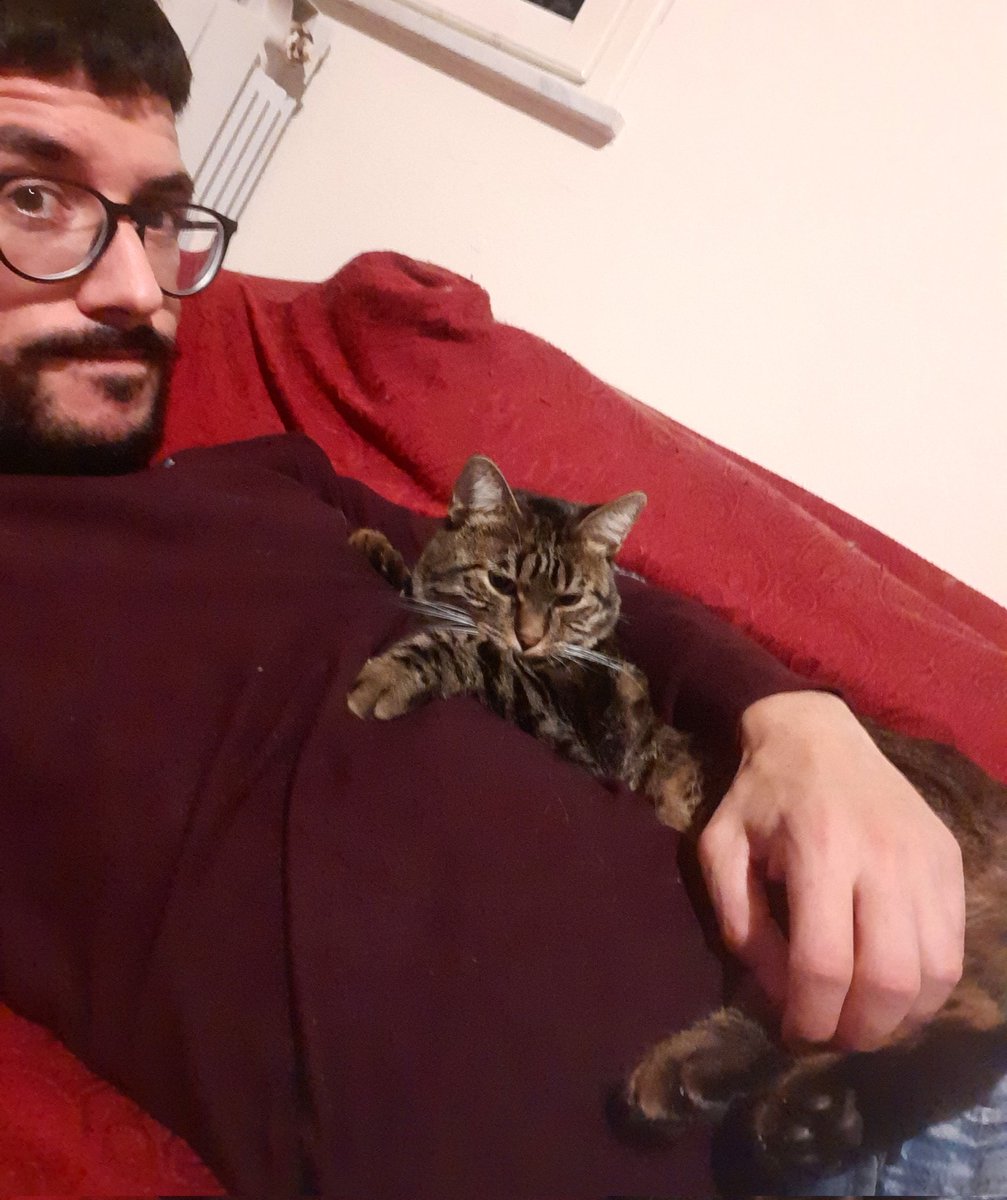 MrFox_86's tweet photo. Gattone coccoloso ❤🐈
#Billy #bigcat #cuddlestime https://t.co/kHuf2I7Mt8 https://t.co/YakHUsQUTR