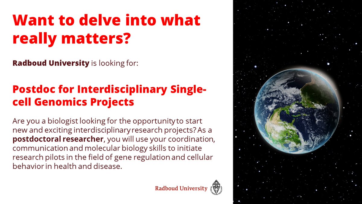 GJCVeenstra's tweet photo. Come and work with us!
@KlaasMulder10 @GJCVeenstra labs
One more week to apply
Please RT https://t.co/fOYXfUPIBg