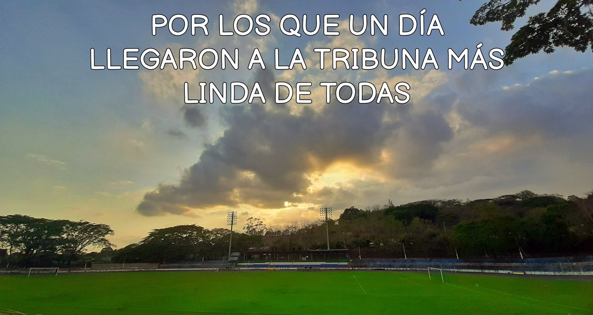 SonsoDato's tweet photo. Y aunque esta cuenta ya no este 100% activa, no quiere decir que esta fecha la olvidaremos.
Esto va a aquellos aficionados que un día como hoy partieron de este mundo amando los colores de su equipo.

                 💚Sonsonate FC💚 https://t.co/QLp7zaqryX