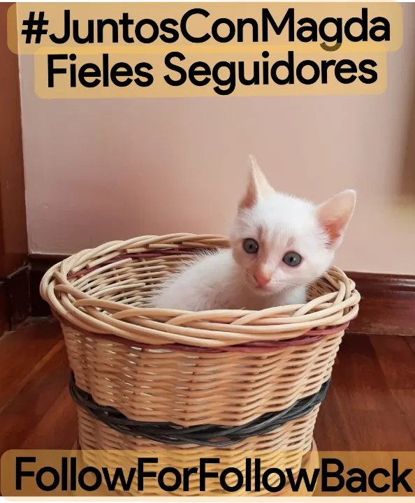 ☛#𝕁𝕦𝕟𝕥𝕠𝕤ℂ𝕠𝕟𝕄𝕒𝕘𝕕𝕒
<a href="/Eles26/">Eles Durán</a>
<a href="/__ORION__02/">Oriøn</a>
@EdgarAlbertola6
<a href="/LaChoca10/">La Choca ( Yoli Fernández )</a>
<a href="/antonylople/">Enrique López Ley</a>
@EdgarALagos1
<a href="/EdgarLagos13/">Edgar Lagos</a>
<a href="/EmreSoliman/">Emre Soliman</a>
<a href="/AlbertiEdgardo/">🧐Alberti Edgardo🧐</a>
<a href="/LaDivaCrazy/">LaDivaCrazy  26611</a>
<a href="/EA_LM1978/">🌝Lagos🌝</a>
@javi09_12
@Alberto82062207
@marticaaduarte
@Edgarlagos2016
<a href="/Magdale_Aguilar/">꧁🅼🅰🅶🅳🅰❥꧂</a>
@LaRadioEstilo
<a href="/lunayessih/">𝒀𝒖𝒍𝒆𝒛 ✴︎❄️‧‧͙*˚ও🦋･🕊</a>