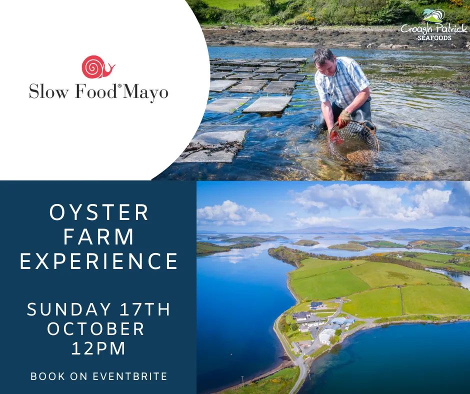 Still couple tickets left for this great event this Sunday ☺️
🦪🦪🦪🦪🦪🦪🦪🦪
Follow the link below to book your spot 😉

eventbrite.ie/e/oyster-farm-…