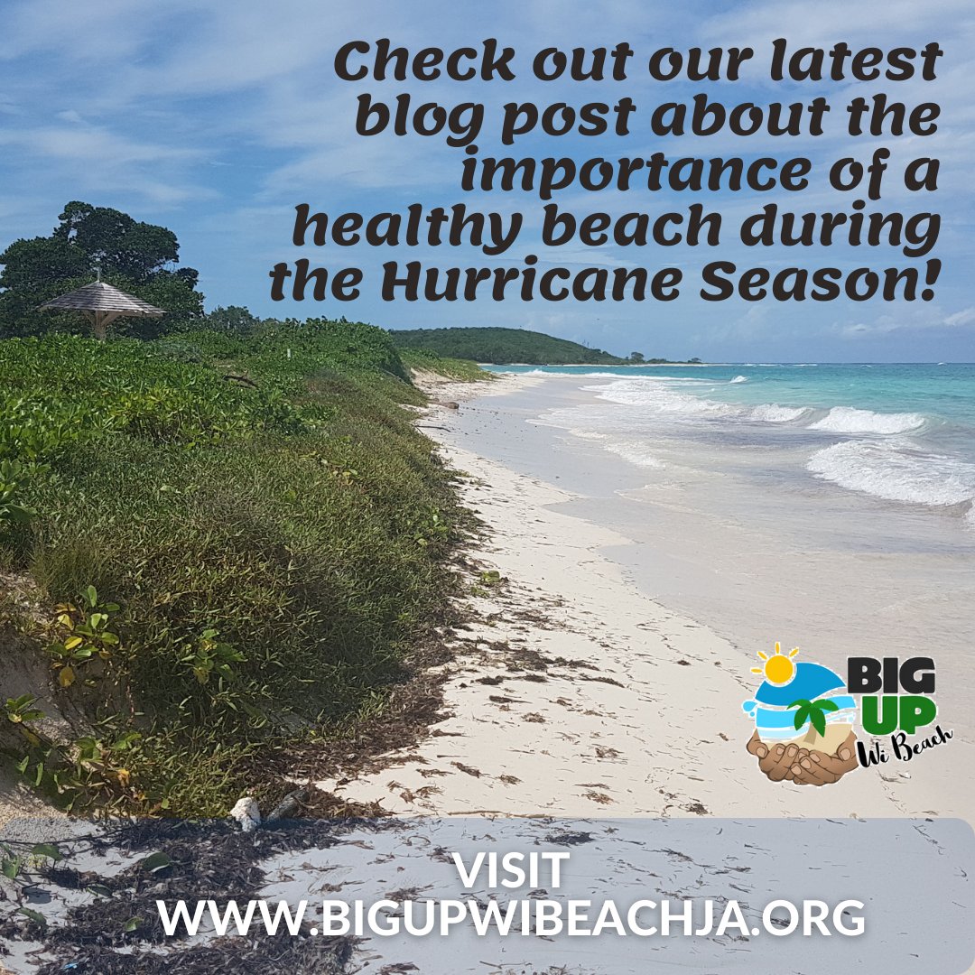 Check out our most recent blog post on how healthy beaches can help us especially during the hurricane season. 

Click here: bit.ly/beachesinhurri…

#bigupwibeachja