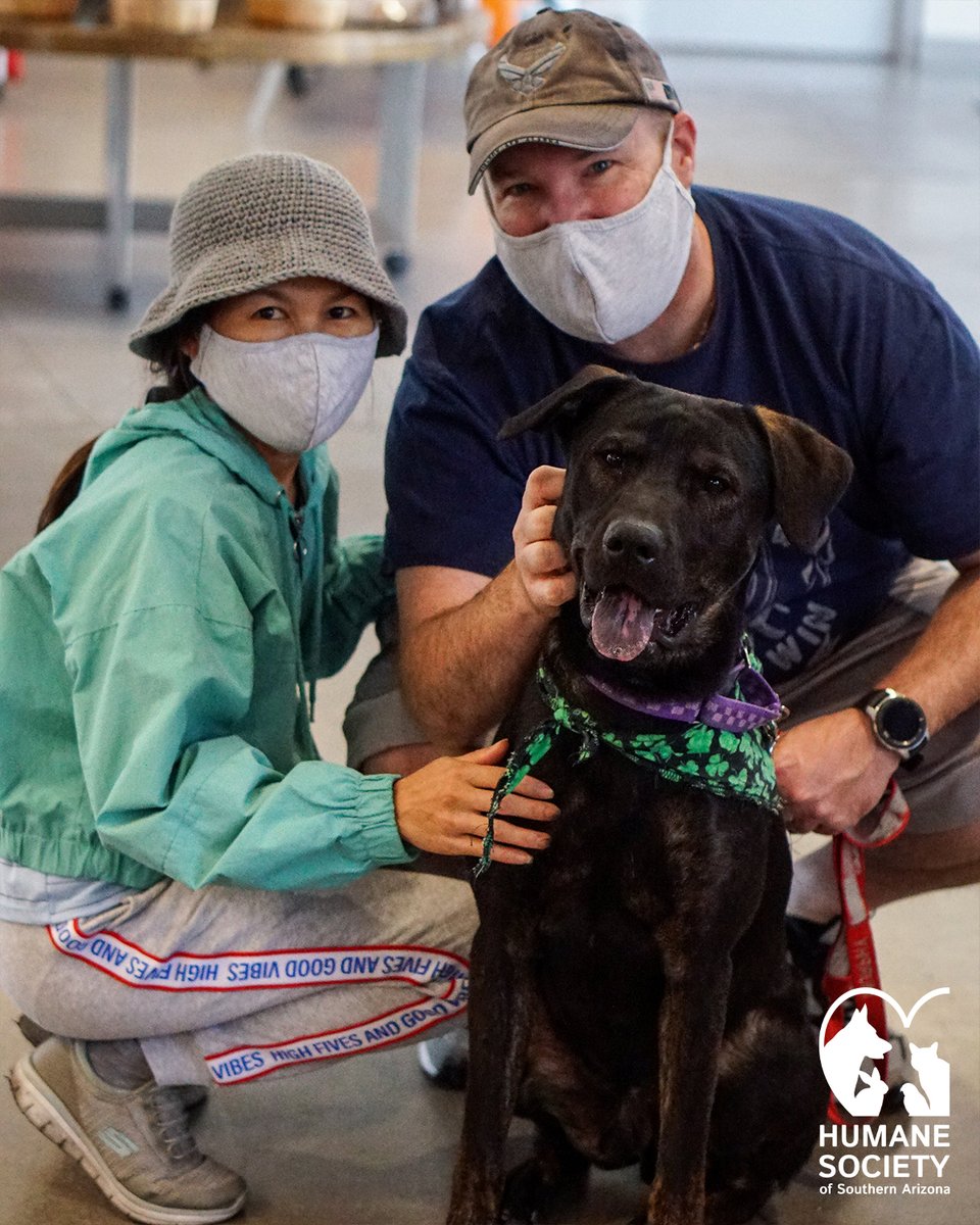 HSSAZ's tweet photo. We are incredibly fortunate to watch forever families be formed each day. Over the past 7 days, 49 pets from our shelter joined their forever homes! This week Simba,  who spent just over 6 months in our shelter, enjoyed his long awaited adoption day, too!

#WednesdayRoundUp https://t.co/qTFAA9ofRa