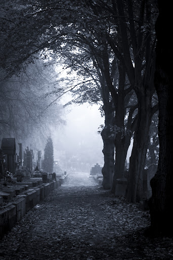 Meet you at the graveyard sovan truong. Кладбище. Ночное кладбище. Мрачное кладбище. Мрачный пейзаж.