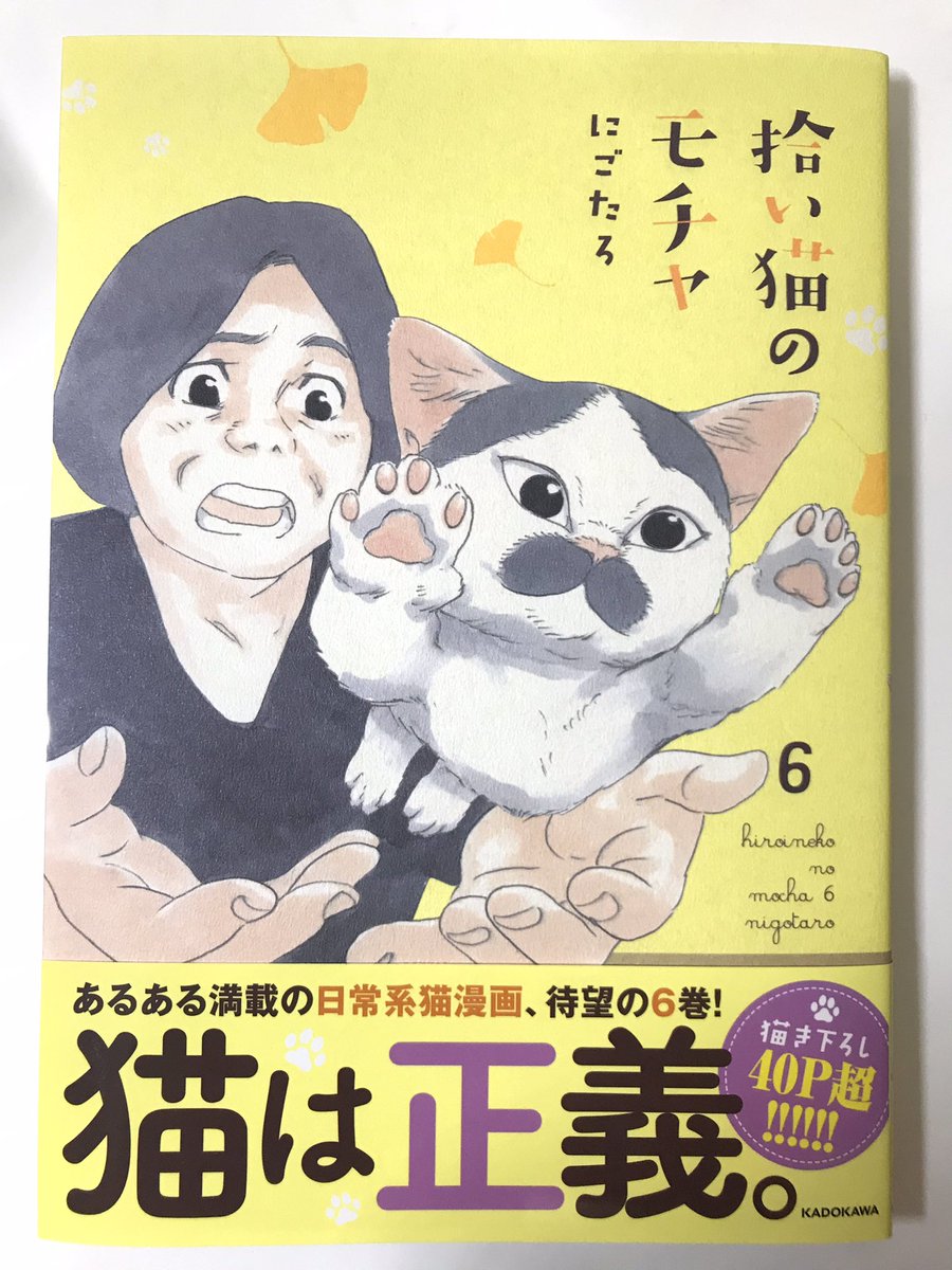 『拾い猫のモチャ6』の見本誌が届きました!面白い! 