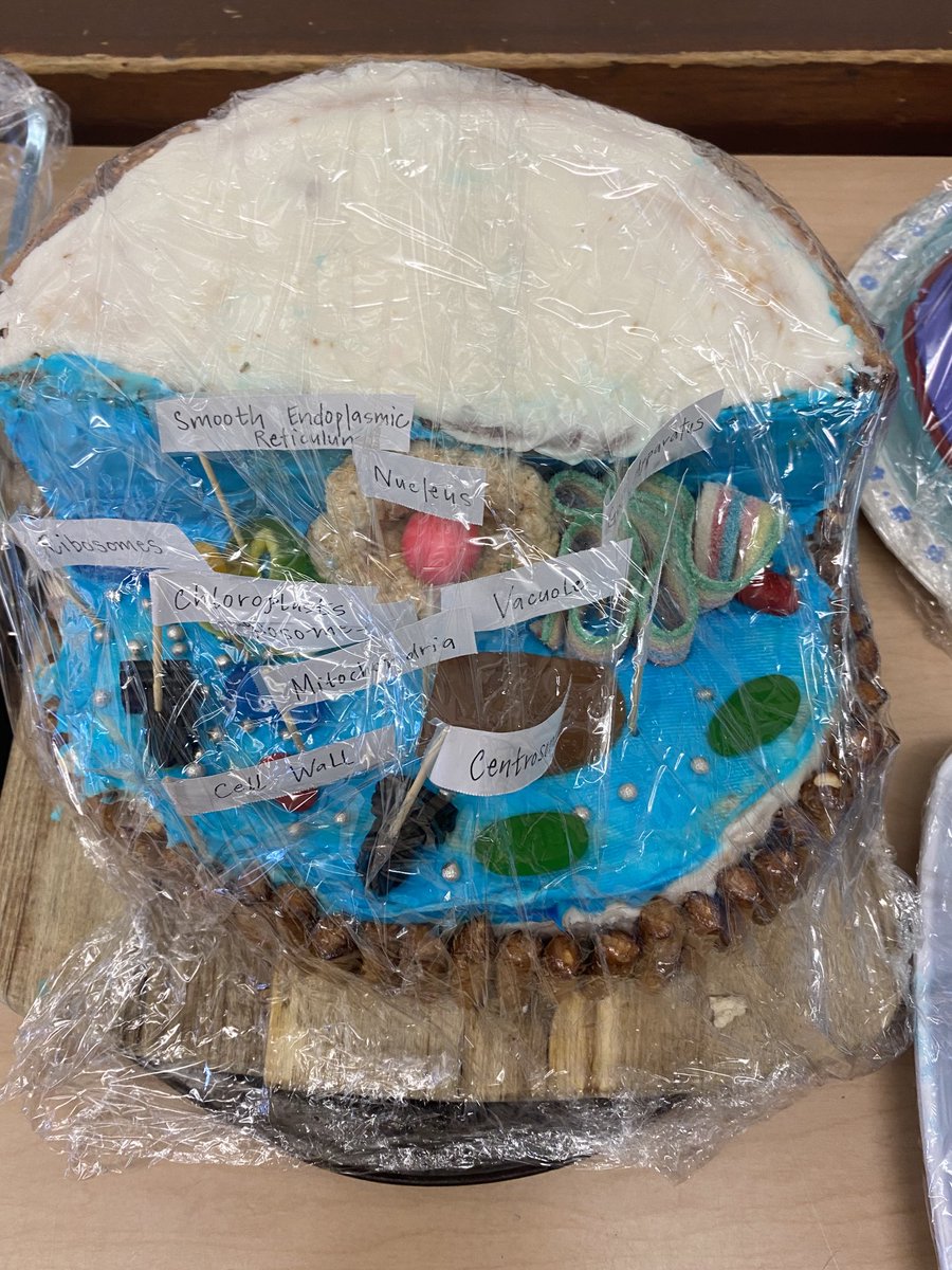 StAnselmTCDSB's tweet photo. Ms. Gundy’s Grade 8’s #Science #CellStructures ⁦@TCDSB⁩ ⁦@SOArea6_TCDSB⁩ https://t.co/GFCCmrLhCN