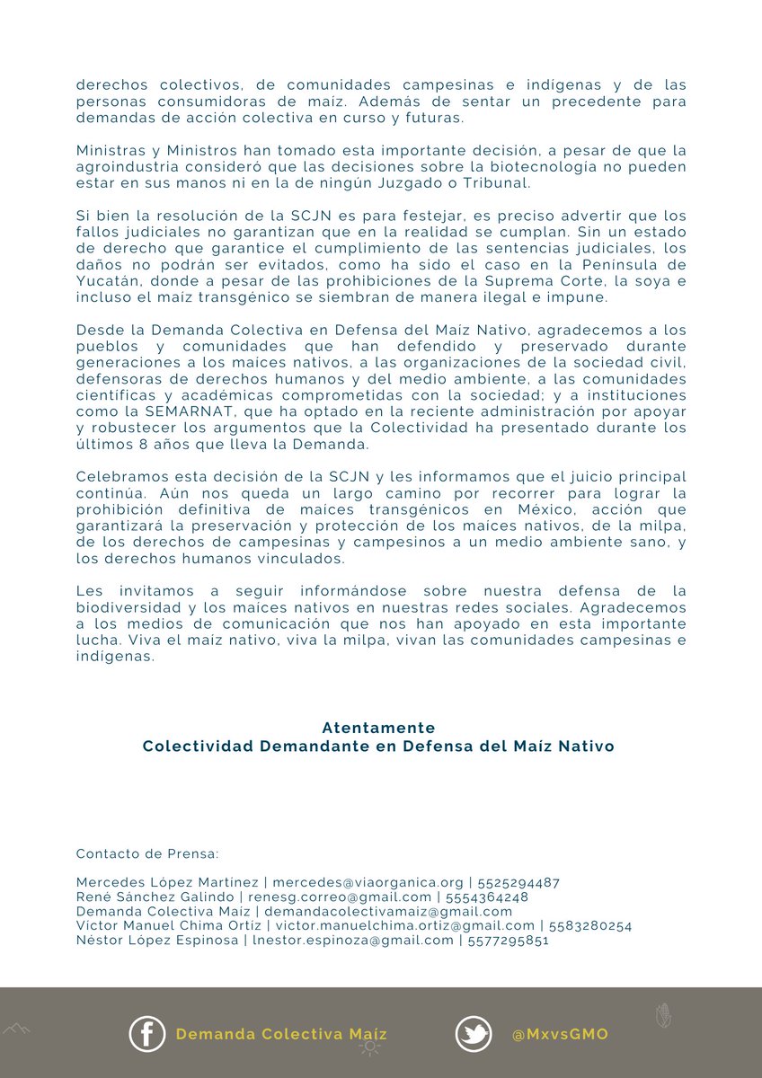 ANECMEXICO's tweet photo. La @SCJN negó las impugnaciones de Bayer-Monsanto, Syngenta, PHI y Dow y ratificó la Medida Precautoria a favor de maíces nativos, la milpa y el ejercicio de los derechos colectivos 🌽.
 👉🏾https://t.co/g23XHyN7dO https://t.co/x6ZK5jaTtM