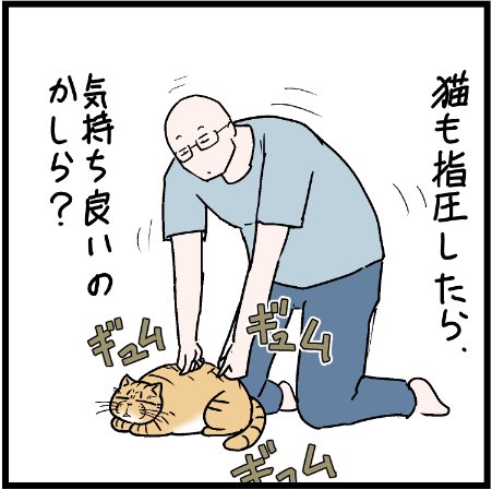 そうか気持ちいいか
 #にゃんこ #まんが #マンガ #4コマ漫画 #四コマ漫画 #猫 #ねこ部 #ねこ #猫あるある #猫漫画 #ペット #飼い主 #ねこらぶ #エッセイ漫画 #みんねこ #キャット #ねこのいる生活 #猫ばか #にゃんだふるらいふ 