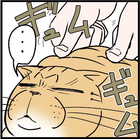 そうか気持ちいいか
 #にゃんこ #まんが #マンガ #4コマ漫画 #四コマ漫画 #猫 #ねこ部 #ねこ #猫あるある #猫漫画 #ペット #飼い主 #ねこらぶ #エッセイ漫画 #みんねこ #キャット #ねこのいる生活 #猫ばか #にゃんだふるらいふ 