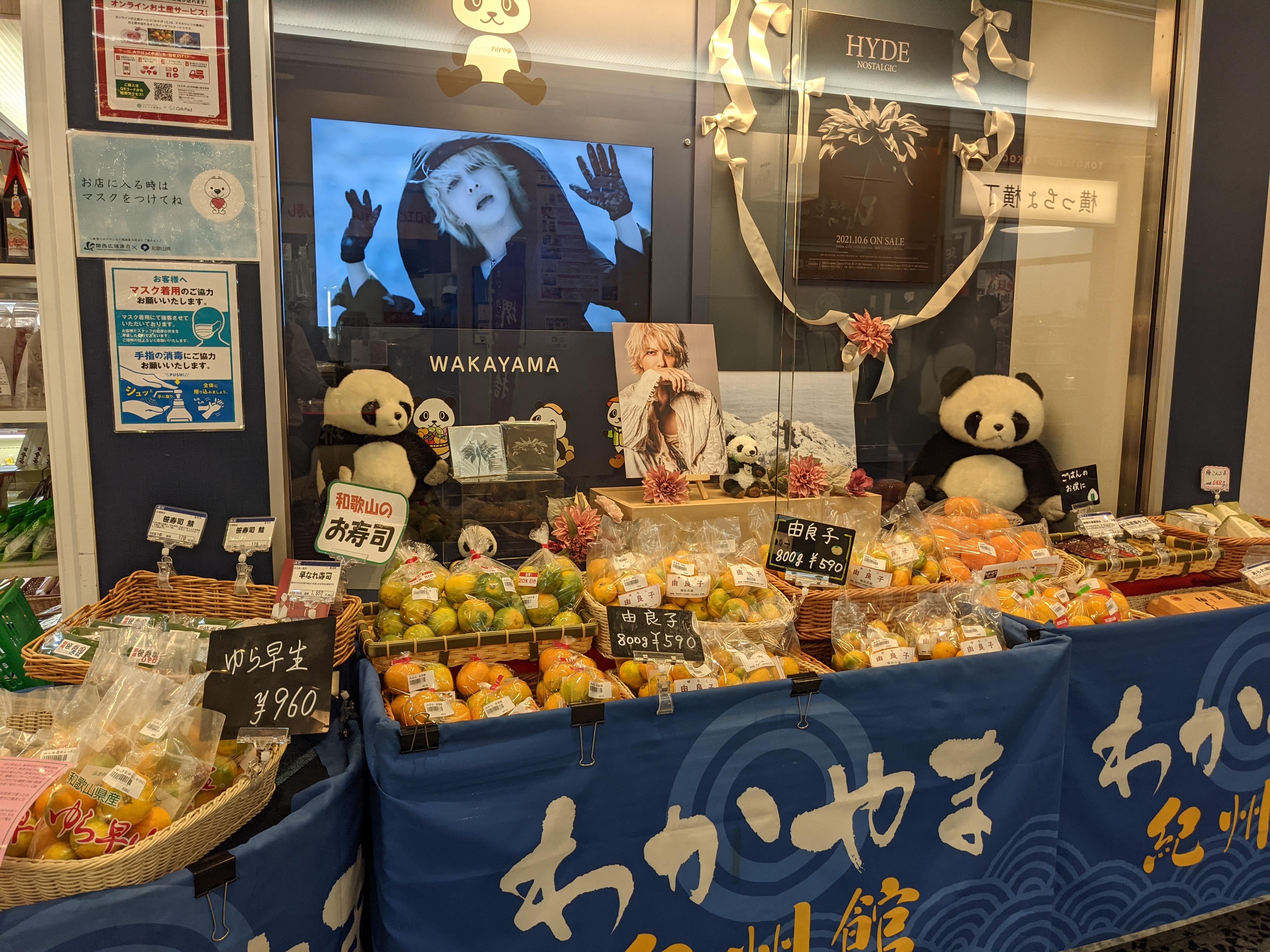 ＷＥＢ限定カラー有 中島由貴 ブロマイド わかやま紀州館 2種類 2023