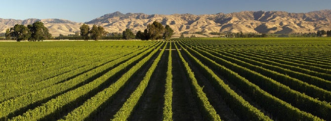 Get Ready for the Global Wine Drought bit.ly/3lDuUz8 by @WineSearcher #wine #climate #ClimateEmergency #wineharvest @thewinetattoo @winewankers @NZWineNews @nzwine @Oberreimer @AdamRosenberg16 @talkavino @wineaostories @lebonvinfr @RogelioGalvn2 @ricasoli99