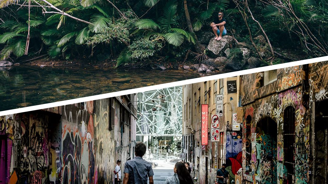 Would you rather stroll the hidden lanes of Melbourne's CBD or find serenity in Queensland's Conway National Park? 

📷 <a href="/Queensland/">Queensland Australia</a> &amp; <a href="/Melbourne/">Melbourne, Australia</a>
