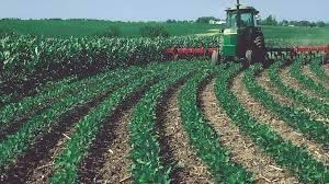 mindshift_inst's tweet image. THE WORK OF WILHELM REICH HAS CRUCIAL APPLICATIONS TO AGRICULTURE, ASTRONOMY, BIOLOGY, ENERGY, EDUCATION, HEALING AND MUCH MORE.
#TheRealWilhelmReich