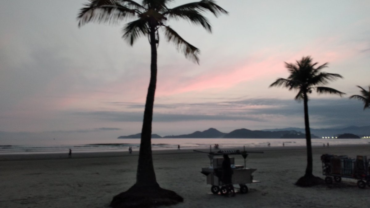 Uny ˢᶠᶜ tweet media