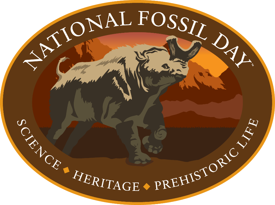 TheMarineMuseum's tweet photo. Happy National Fossil Day! Calvert Marine Museum will be celebrating this Friday, Oct. 15th with a fossil identification table. Come by and share your awesome fossil discoveries with us!
#calvertmarinemusuem #fossils #paleontology #nationalfossilday #calvertcliffs #miocene https://t.co/AW6YKrBvPf