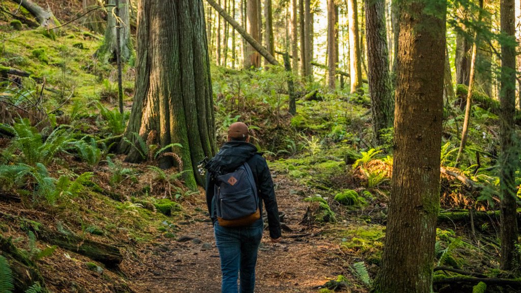 The Pacific Parklands Foundation is seeking volunteer Directors!

Support us in continuing our 20-year history of protecting wildlife and connecting people to nature. 

Learn more about the role here: linkedin.com/jobs/view/2755…