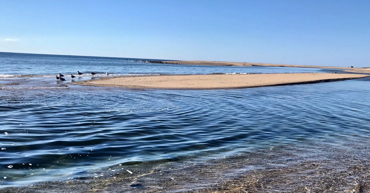 October swim 
#provincetown #capecod #outercape