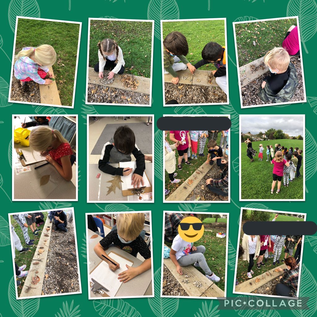 MsJenBlack's tweet photo. Yesterday we had a wonderful Outdoor Ed experience with a special guest from the Environmental Centre! We learned about math in nature with counting, sorting, and making patterns with the natural math tools outside in our school yard! @WilfridJuryPS @tvdsbmathk8 https://t.co/m2FJGIm5Cj