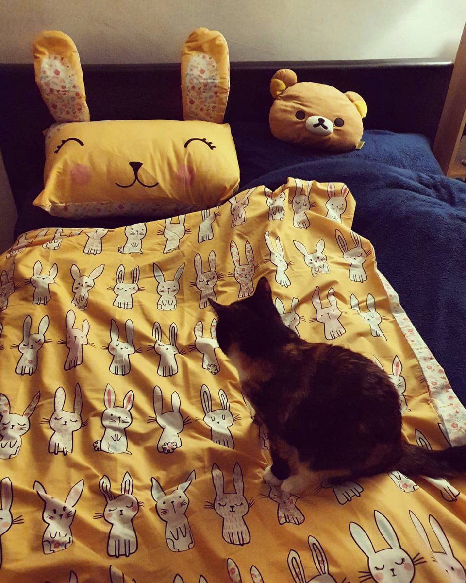 10velyBanana's tweet photo. Yeah, I'm turning 16 (+20) in December and yeah - my new duvet & pillow case is from the kids section but it's an adorable bunny π° π set!
Reduced to Β£5 - how could I possibly resist??? π€ͺ
#FindingJoyIntheSmallThings https://t.co/HKMPpgfOeu