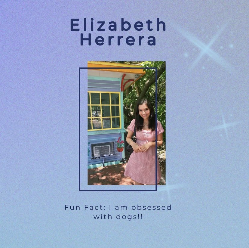 NEW MEMBER SPOTLIGHTS💙