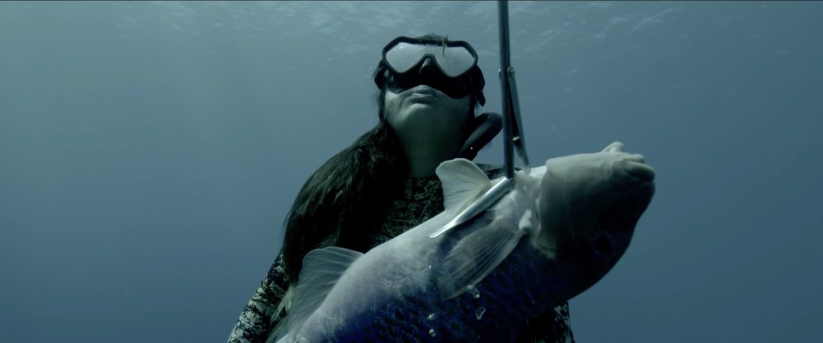 Our short film “Ocean Mother" featuring <a href="/kimiwerner/">Kimi Werner</a> was selected for the 2021 #ClioSports shortlist hosted by @ClioAwards!

Click the link below to watch the full film. Directed by Miko Lim and in partnership with <a href="/OluKai/">OluKai</a>.

news.farmleague.us/news/view/oluk…