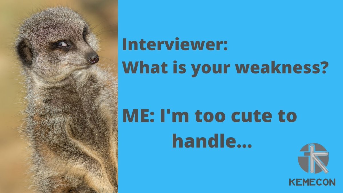 Kemecon2's tweet image. Yes, still Thanksgiving...

and a good laugh with this meme 😄😊😃

#wednesdaythought #hireavirtualassistant #interviewmeme #interview #interviewtips