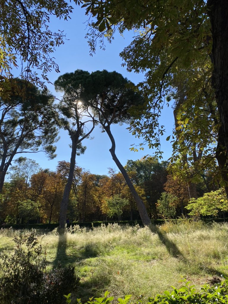 El Retiro Park 🌳