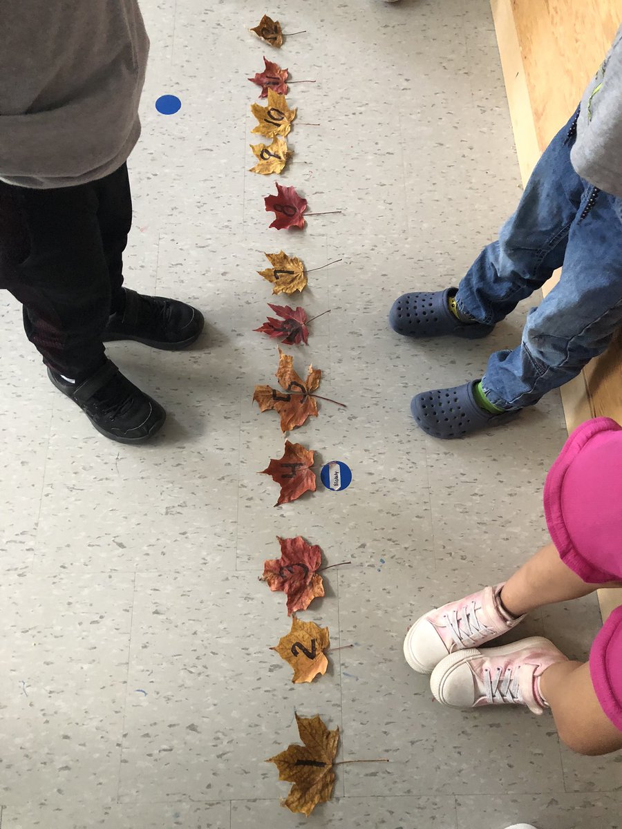 Exploring leaves and numbers in kindergarten <a href="/louisearbourfi/">Louise Arbour FI</a> . A big wind came and scattered our leaves onto the floor!  Can you put them back in order?  Oh no…. Here comes the wind again! #TVDSBKinder