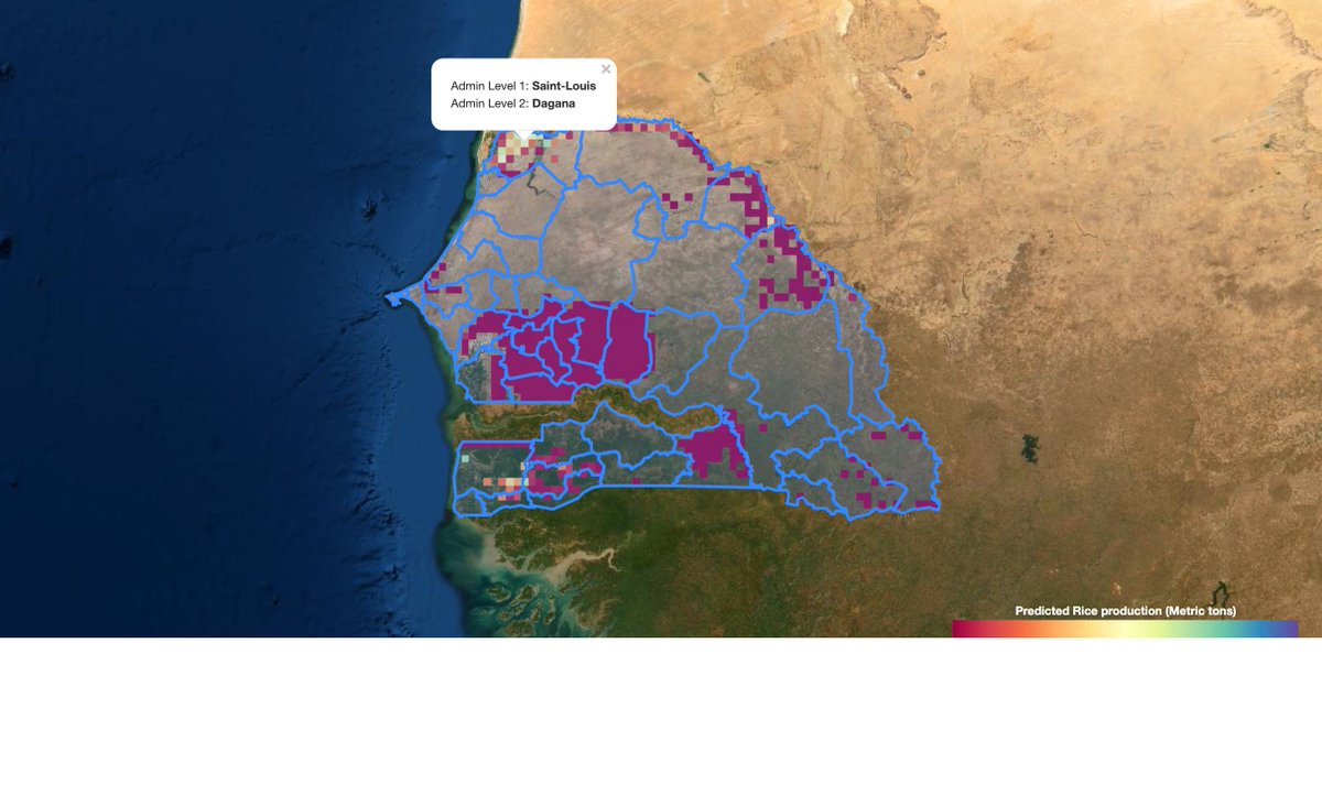 AAgWa_News's tweet image. #ScienceMinute 

This map produced by #AAgWa Data Scientists is the predicted Rice production in Saint-Louis region, Dagana Division, which is the highest predicted rice production in 2020. 

Download more maps on aagwa.org!