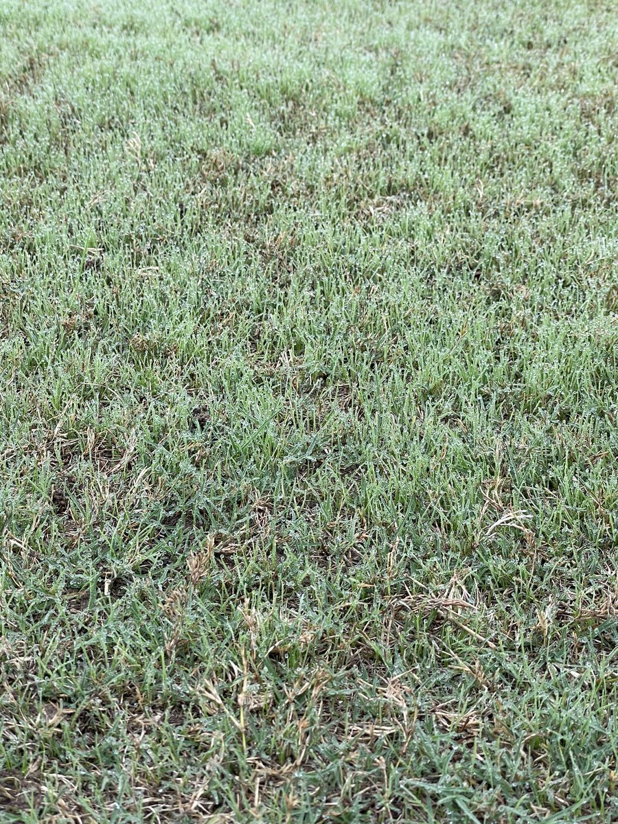 MACC Turf Maintenance tweet media