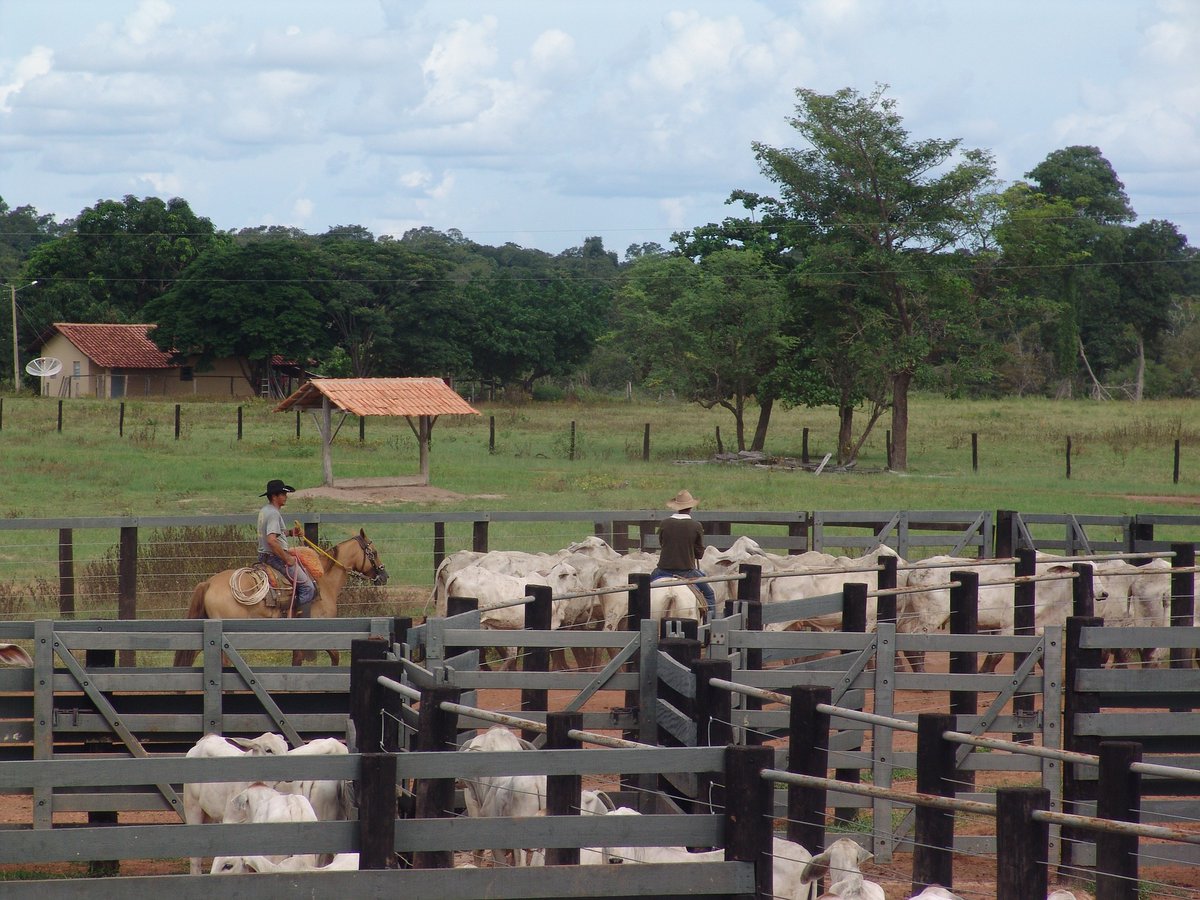 Donshapiro1's tweet photo. Editor's Pick at CustomerThink magazine "How to Avoid The Shootout at The Price Corral"
#sales #price #value #customers #discovery
 https://t.co/McQNFUEGmc https://t.co/ib4Pv4sDCU