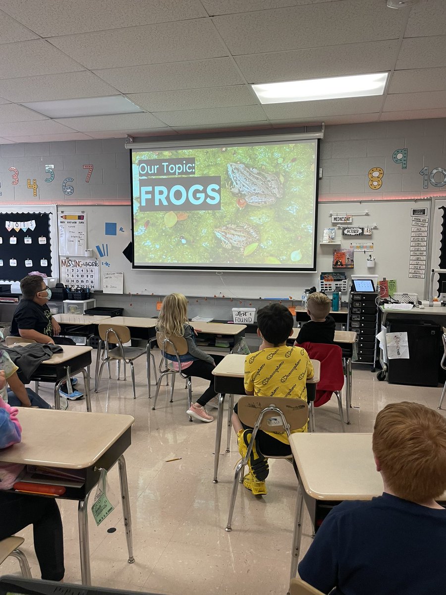 STE Third tweet media