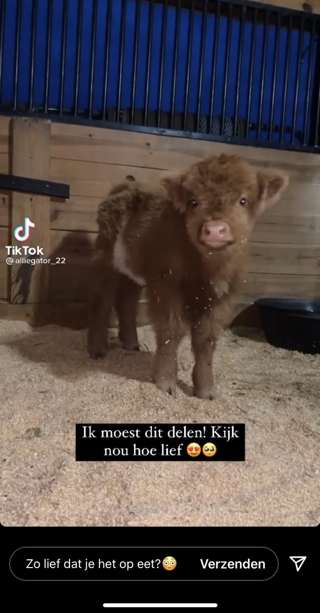 Ja sorry. Ik transformeer langzaam in zo’n vervelende vegan. Het is gewoon stom als je helemaal hyper over hoe lief een dier is en het vervolgens op vreet. Gewoon stom.