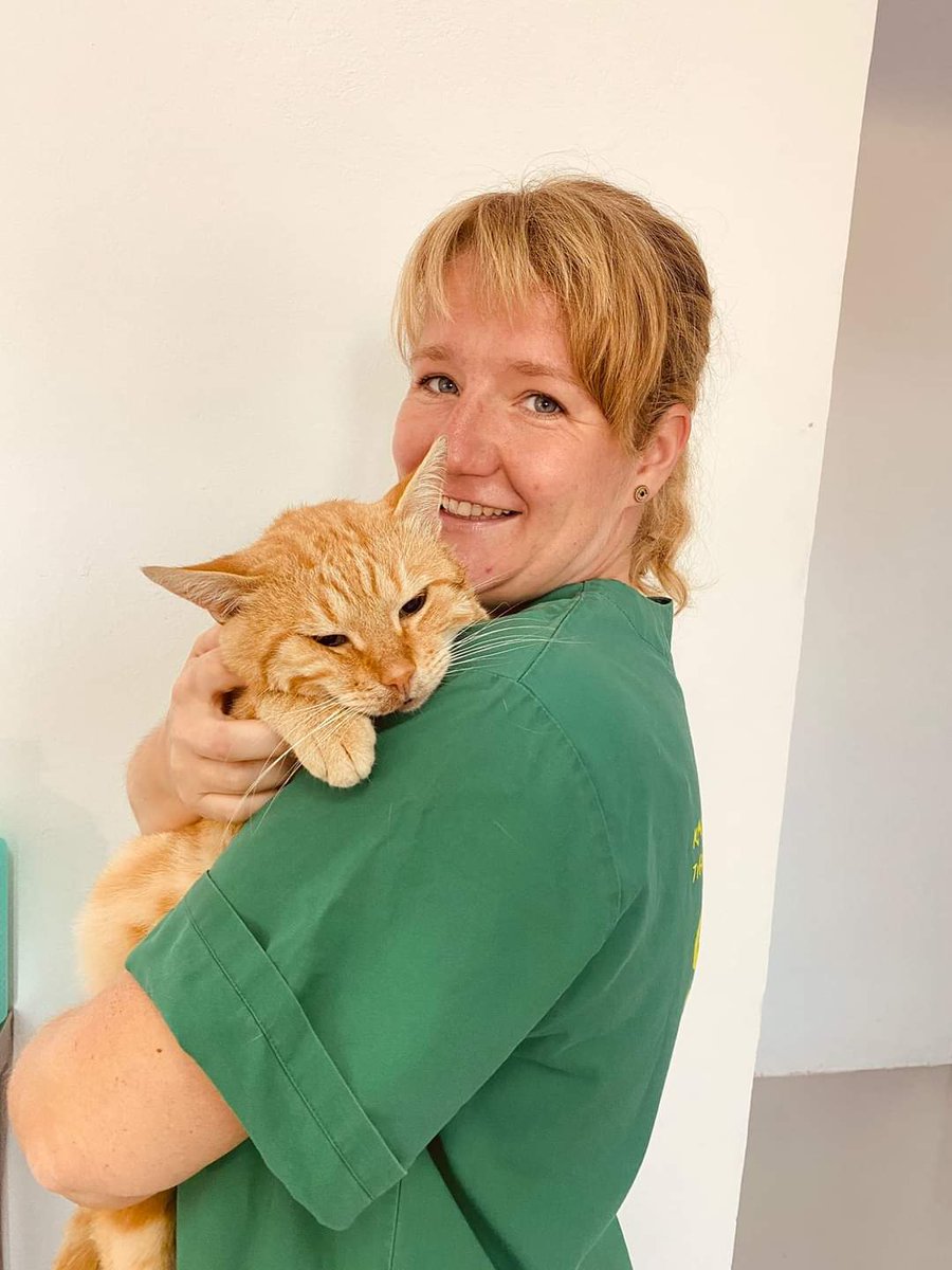 FlyingCats_eV's tweet photo. Schaut euch diesen #Prachtburschen an! Was meint ihr, wie viel so ein großer #Kater auf die #Waage bringt?

Tag 8 

22 Kätzinnen 
27 Kater https://t.co/wueDATGOGp