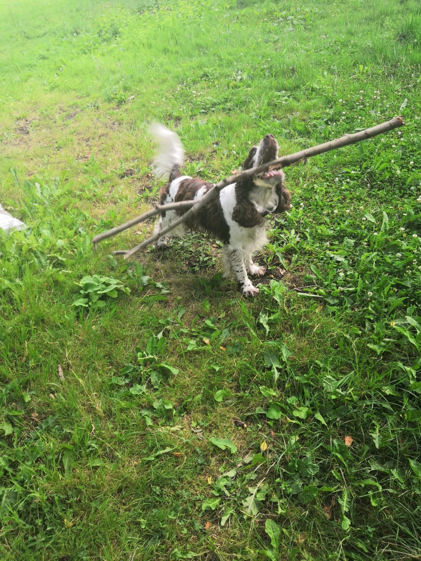 Portable Garden tweet media