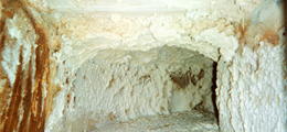 Understanding Mould:

- Mould is present almost everywhere, indoors and outdoors.
- Mould spores are microscopic and float along in the air and may enter your home through windows, doors, or AC/heating systems or even hitch a ride indoors on your clothing or a pet.