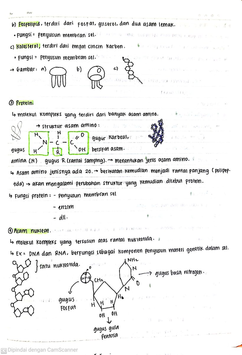 ayafyuuw's tweet photo. catatan biologi kelas 11 semester 1
sel🦠

sc: rg https://t.co/xKExC63iVp